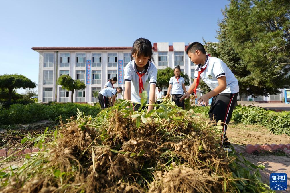 九卅娱乐手机版登录